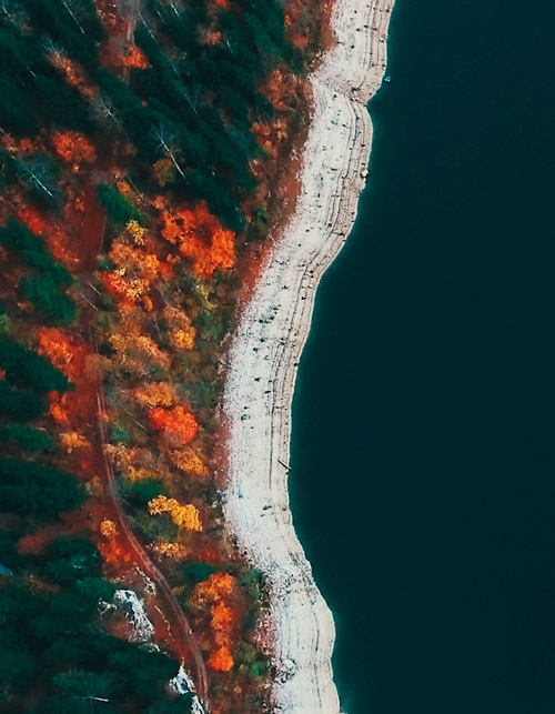 Aerial view of the Swiss forest